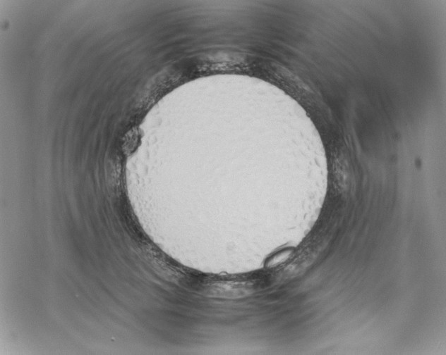 X0000077280657200611171603