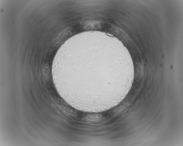 X0000077280659200611171603