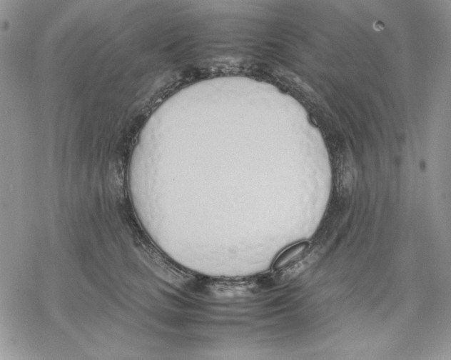 X0000077280661200611171603