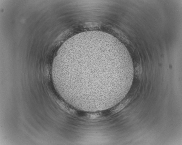 X0000077280662200611171603