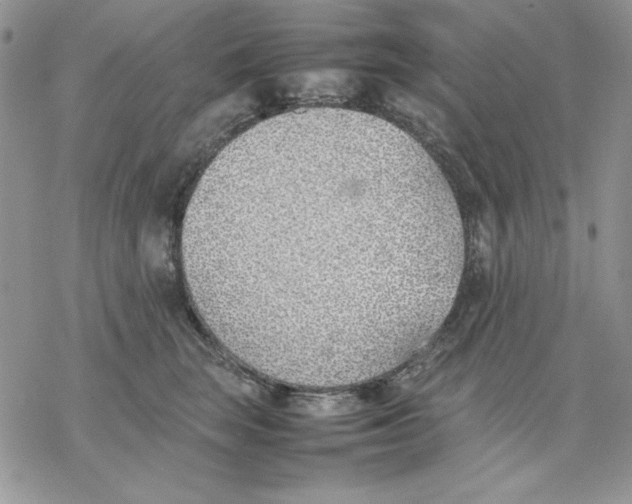 X0000077280663200611171603