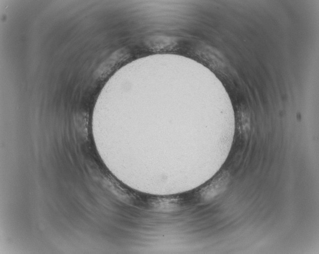 X0000077280664200611171603