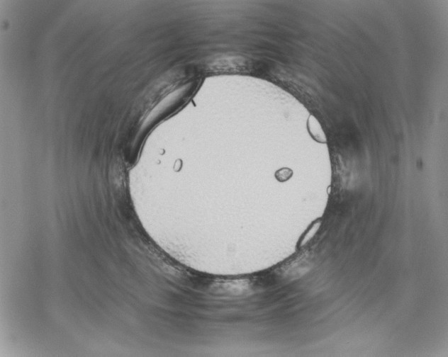 X0000077280665200611171603