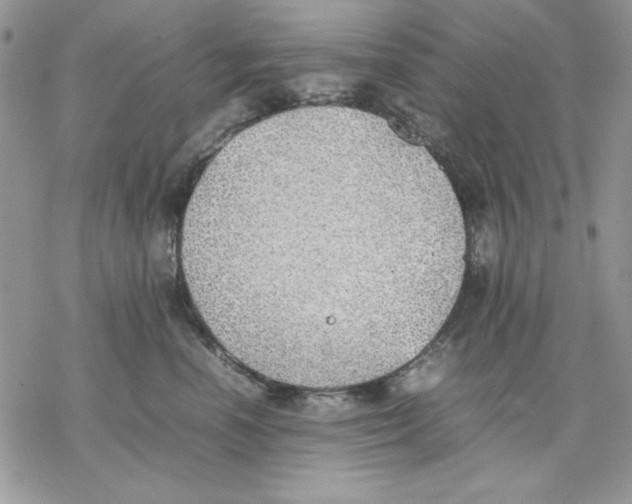 X0000077280666200611171603