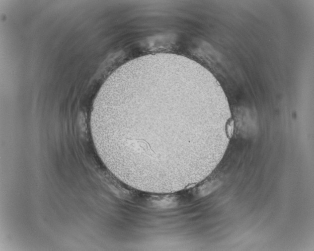 X0000077280667200611171603