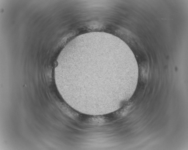 X0000077280668200611171603