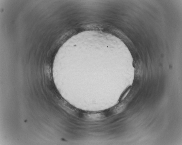 X0000077280669200611171603