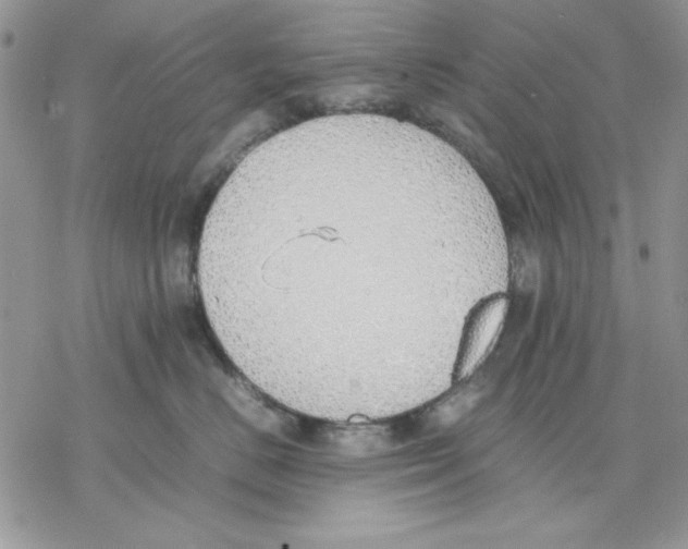 X0000077280670200611171603