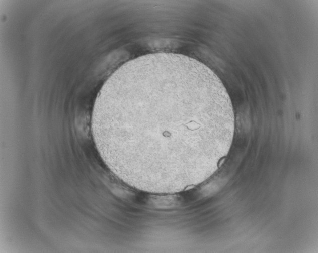 X0000077280671200611171603