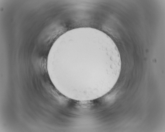 X0000077280672200611171603