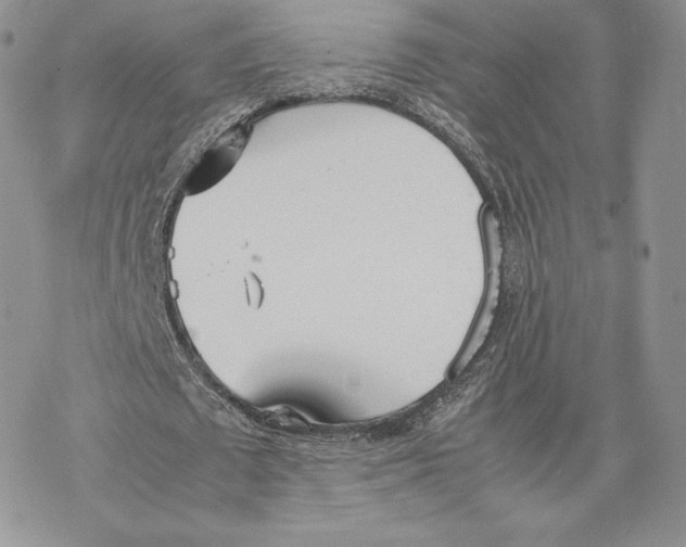 X0000077280673200611171603