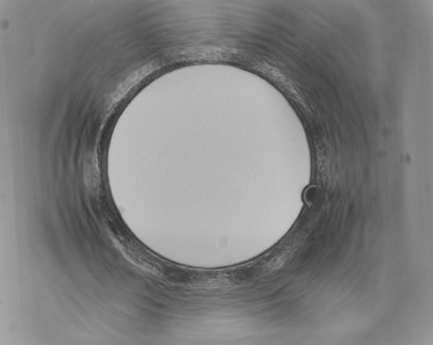 X0000077280674200611171603