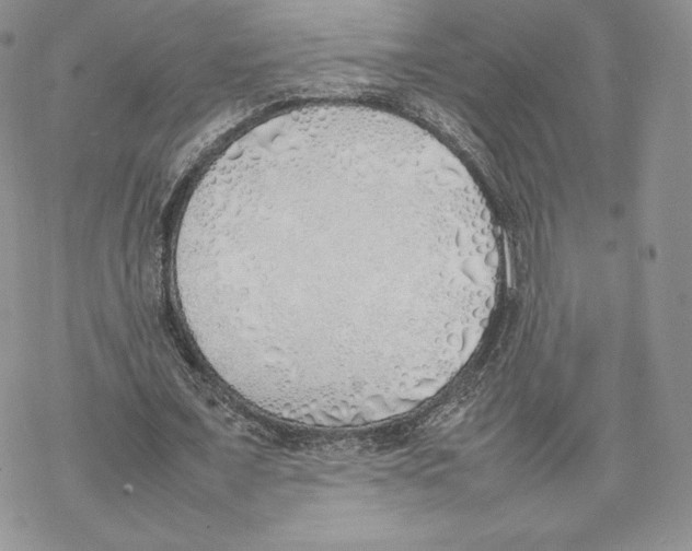 X0000077280675200611171603