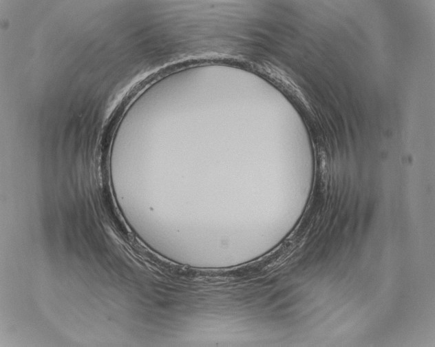 X0000077280676200611171603