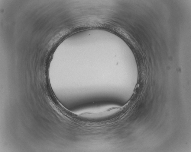 X0000077280677200611171603