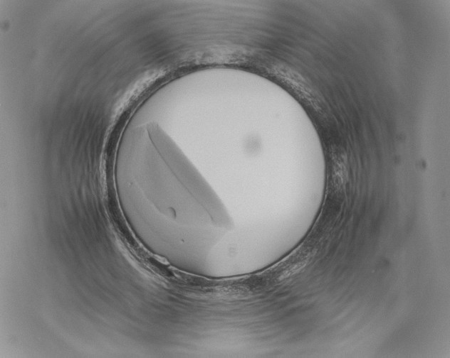 X0000077280678200611171603