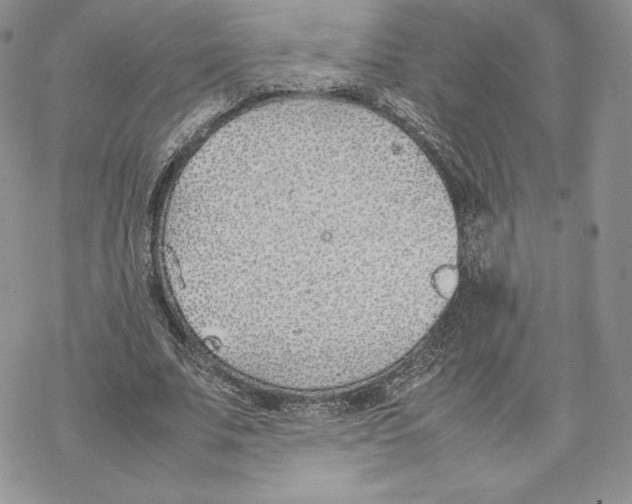 X0000077280679200611171603