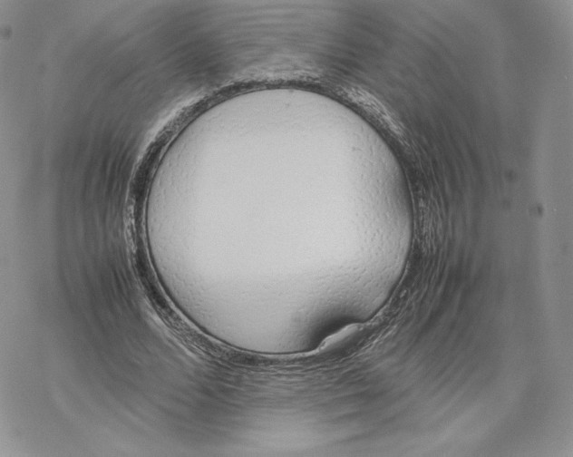 X0000077280680200611171603