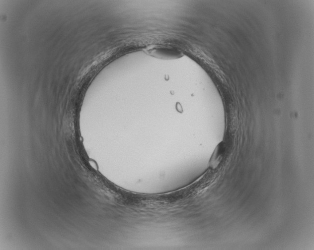 X0000077280681200611171603