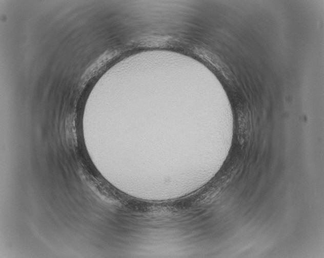 X0000077280682200611171603