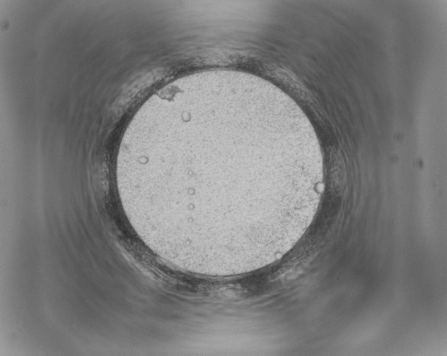 X0000077280683200611171603