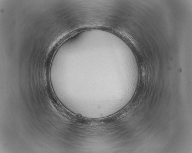 X0000077280684200611171602