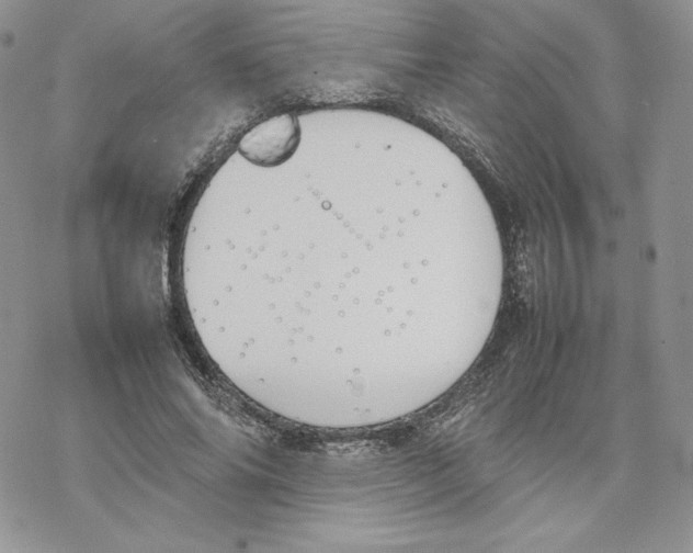 X0000077280686200611171602