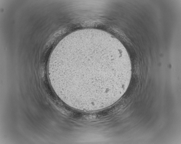 X0000077280687200611171602