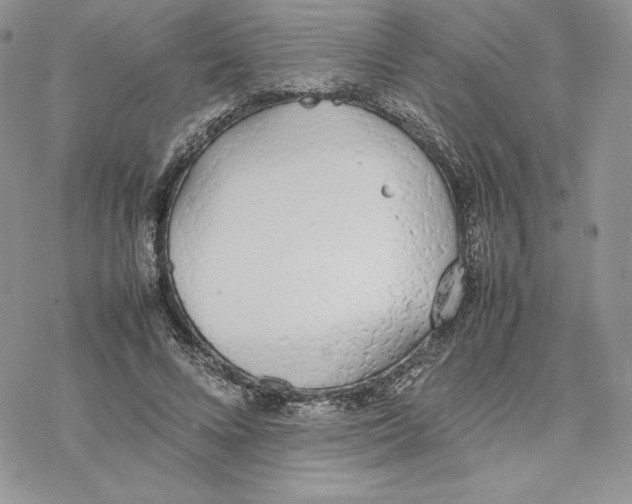 X0000077280688200611171602