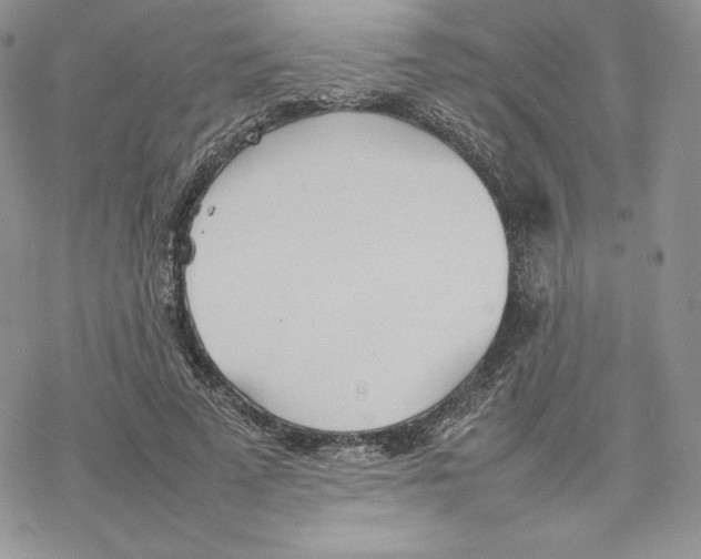 X0000077280689200611171602