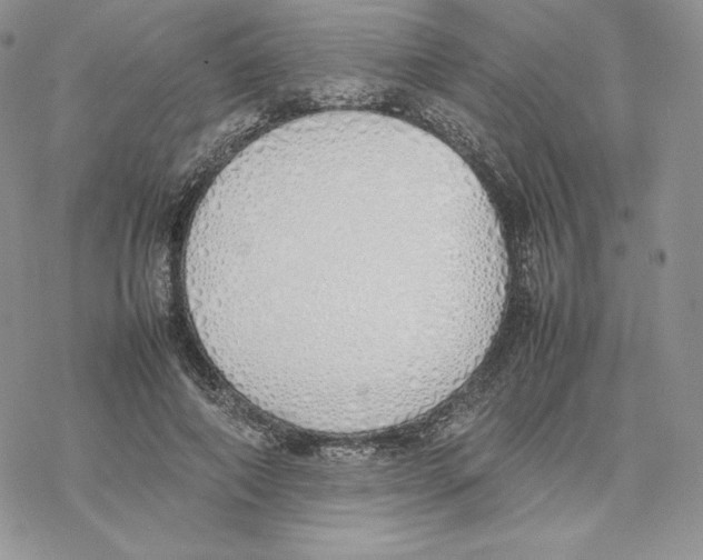 X0000077280690200611171602