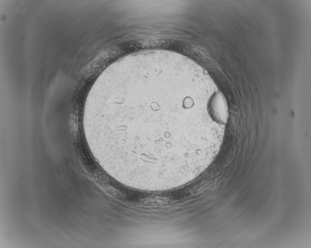 X0000077280691200611171602