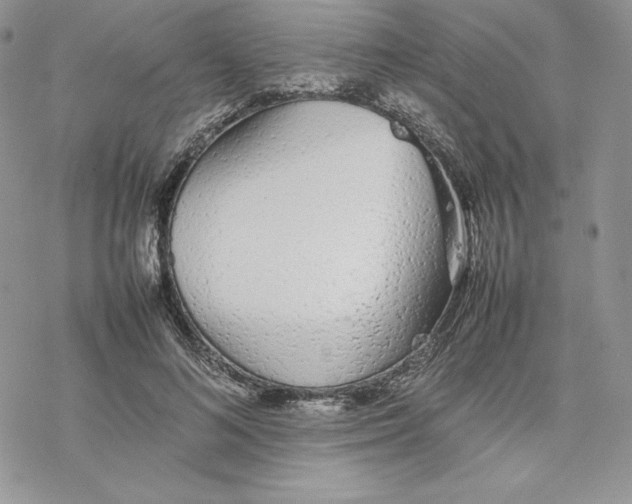 X0000077280692200611171602