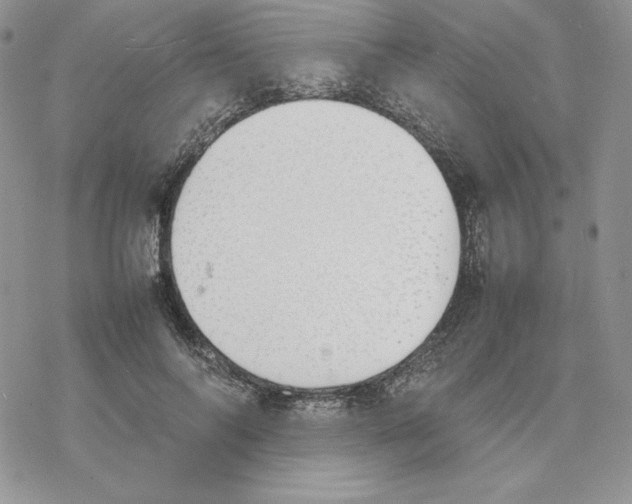 X0000077280694200611171602