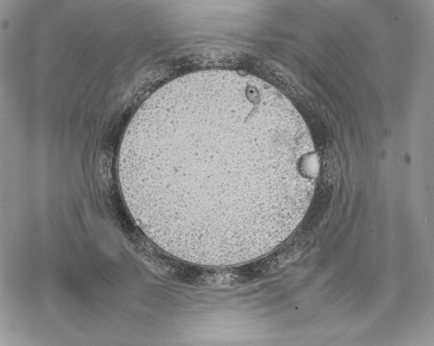 X0000077280695200611171602