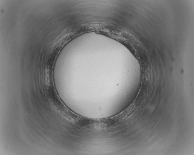 X0000077280696200611171602