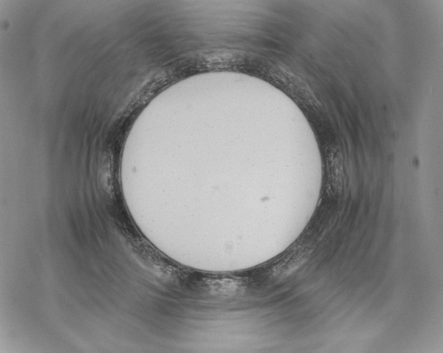 X0000077280698200611171602