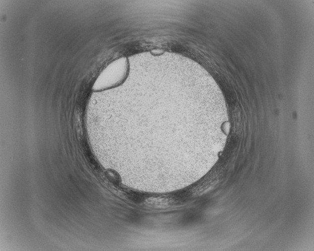 X0000077280699200611171602