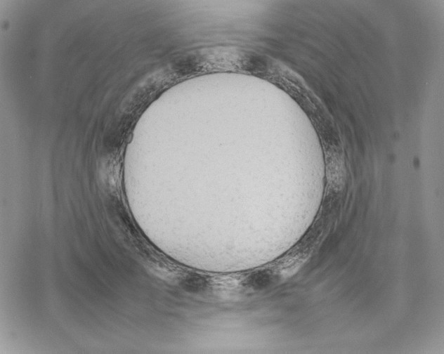 X0000077280701200611171602