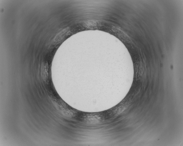 X0000077280702200611171602