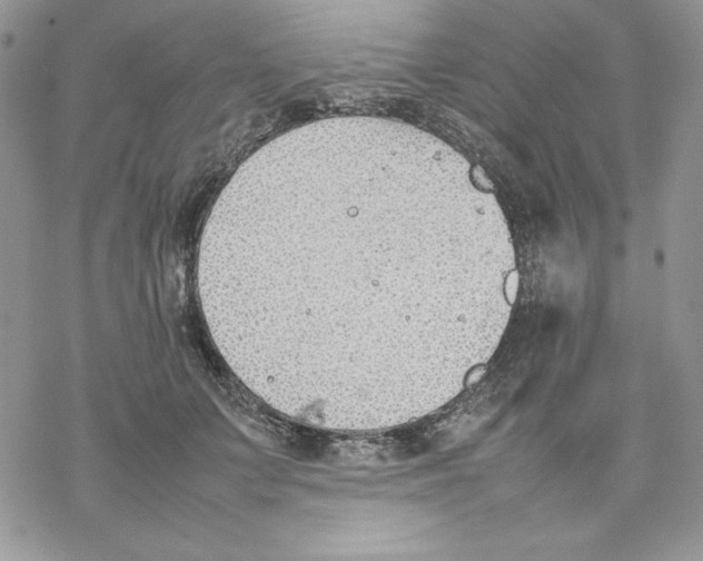 X0000077280703200611171602