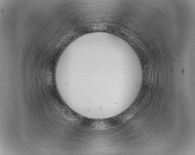 X0000077280704200611171602