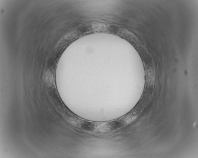 X0000077280705200611171602