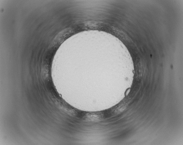 X0000077280706200611171602