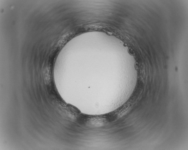 X0000077280708200611171602