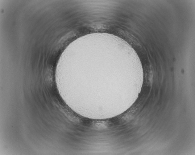 X0000077280710200611171602