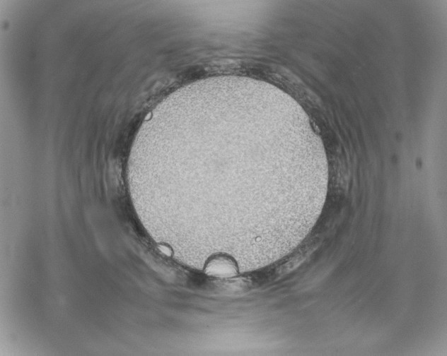 X0000077280711200611171602