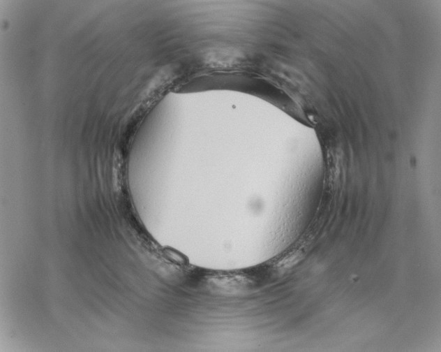 X0000077280712200611171602