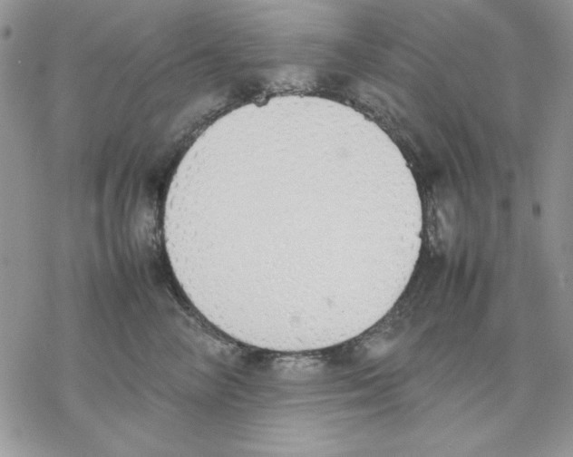 X0000077280714200611171602