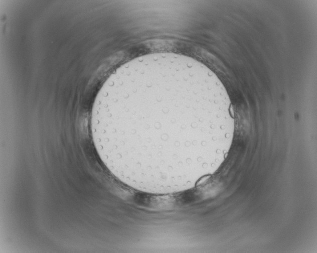 X0000077280717200611171602